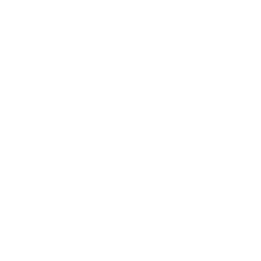 Icon Schnelligkeit